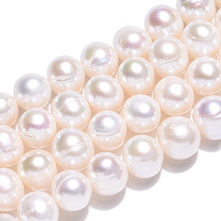 Color de la concha Hilos de perlas de agua dulce cultivadas naturales, patata, color de concha, 8~9x8~9 mm, agujero: 0.7 mm, sobre 46~47 unidades / cadena, 15.63~15.94 pulgada (39.7~40.5 cm)