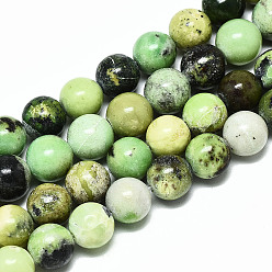 Serpentine Natural Serpentine Beads Strands, Round, 10mm, Hole: 1.2mm, about 39pcs/strand, 14.96 inch~15.75 inch(38~40cm)