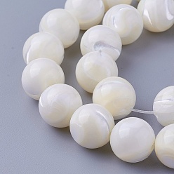 Other Sea Shell Shell Beads Strands, Round, 12~12.3mm, Hole: 1.5mm, about 32pcs/strand, 15.27 inch(38.8cm)