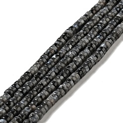 Larvikite Brins de perles de larvikite naturelles, plat rond, 4.4~4.6x2.2~2.4mm, Trou: 0.8mm, Environ 159 pcs/chapelet, 14.84'' (37.7~38.1 cm)