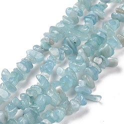 Aquamarine Natural Aquamarine Chips Beads Strands, Grade A, 2.5~6x4.5~10.5mm, Hole: 0.8~1mm, about 33.86 inch(86cm)