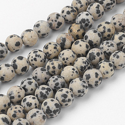 Jaspe Dalmate Dalmatien naturel Jasper brins de perles, ronde, givré, 8~8.5mm, Trou: 1mm, Environ 45~47 pcs/chapelet, 14.9 pouce (38 cm)