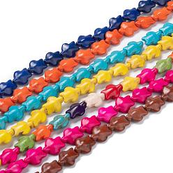 Color mezclado Teñidos perlas turquesas sintéticas hebras, tortugas marinas, color mezclado, 15x12x6 mm, agujero: 1 mm, sobre 28 unidades / cadena, 15.4 pulgada
