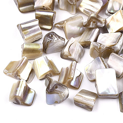 Light Khaki Freshwater Shell Beads, Chip, Light Khaki, 5~10x8~12x9~10mm, Hole: 0.8~1mm