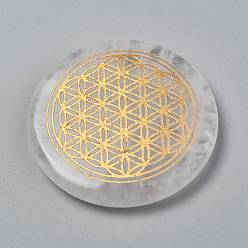 Cristal de Quartz Cabochons en cristal de quartz naturel sur le thème des chakras, cabochons en cristal de roche, plat et circulaire avec fleur de la vie, 35x6~7mm