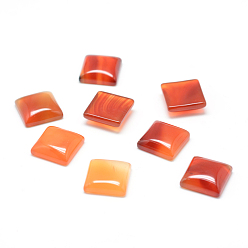Carnelian Natural Carnelian Gemstone Cabochons, Square, Dyed, 10x10x5mm