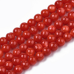 Red Natural Freshwater Shell Beads Strands, Dyed, Round, Red, 4mm, Hole: 0.8mm, about 97~99pcs/strand, 14.88 inch~15.16 inch(37.8~38.5cm)