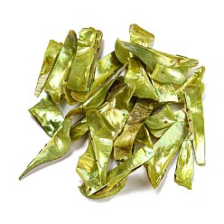 Желто-Зеленый Большие подвески из натуральной ракушки акоя, окрашенные распылением, самородки прелести, желто-зеленый, 35.5~55x8~20x4~12 мм, отверстие : 1.2 мм