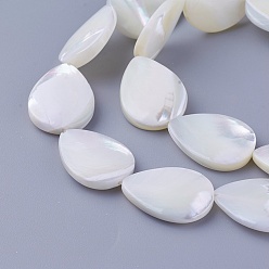 Other Sea Shell Shell Beads Strands, teardrop, 19.5~20x14.8~15x3.5~4.5mm, Hole: 0.7mm, about 20pcs/strand, 15.43 inch(39.2cm)