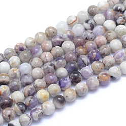 Amethyst Natural Chevron Amethyst Beads Strands, Round, 6~6.5mm, Hole: 0.8mm, about 66pcs/strand, 15.35 inch(39cm)