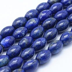 Lapis Lazuli Natural Lapis Lazuli Beads Strands, Grade A, Rice, 12x8mm, Hole: 1mm, about33pcs/strand, 15.7 inch(40cm)