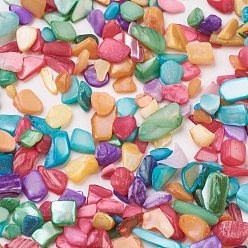 Mixed Color Handmade Shell Beads, No Hole/Undrilled, Chip, Dyed, Mixed Color, 4~14x2~5x0.7~3.5mm, about 5000pcs/500g