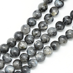 Larvikite Natural Larvikite Beads Strands, Round, 8~9mm, Hole: 1mm, about 46pcs/strand, 15.3 inch