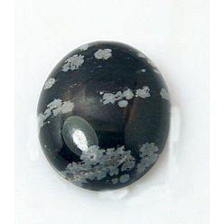 Снежный Обсидиан Природные снежинка обсидиан кабошонов, овальные, чёрные, 10x8x4 мм