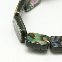 Colorful Natural Abalone Shell/Paua Shell Beads Strands, Rectangle, Colorful, 12x8x3mm, Hole: 0.5mm