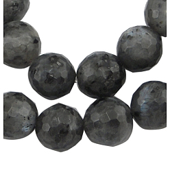 Larvikite Brins de perles de larvikite naturelles, facettes (128 facettes) rondes, environ 8 mm de diamètre, Trou: 1mm, 49 pcs/ brin, 15 pouce