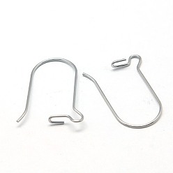 Stainless Steel Color 316 Surgical Stainless Steel Hook Earrings, Stainless Steel Color, 25x12mm, Pin: 0.7mm