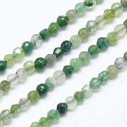 Moss Agate Natural Moss Agate Beads Strands, Faceted, Round, Olive Drab, 2mm, Hole: 0.5