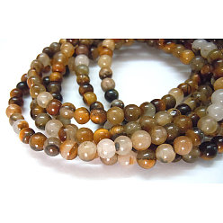Tiger Eye Natural Tiger Eye Beads Strands, Grade B, Round, 4mm, Hole: 0.8mm, about 100pcs/strand, 15.5 inch