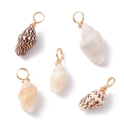 Real 18K Gold Plated Natural Shell Pendants, with Copper Findings, Real 18K Gold Plated, 18~23x7~10x6~7.5mm, Hole: 3.7mm
