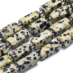 Dalmatian Jasper Natural Dalmatian Jasper Beads Strands, with Seed Beads, Faceted, Column, 12~13x6~8x6~8mm, Hole: 1mm, about 28pcs/strand, 15.55''~15.75'(39.5~40cm)