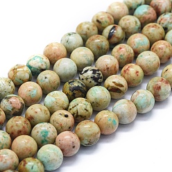 Peruvian Turquoise(Jasper) Brins de perles de turquoise péruvienne naturelle (jaspe), classe ab, ronde, 8mm, Trou: 1mm, Environ 48~49 pcs/chapelet, 15.35 pouce (39 cm)