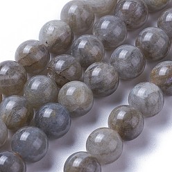 Labradorite Natural Labradorite Beads Strands, Round, 10mm, Hole: 1.2mm, about 37~38pcs/strand, 14.9~15.4 inch(38~39.3cm)