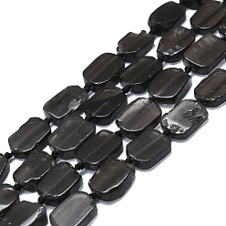 Tektite Brins de perles en tektite naturel, rectangle, 15~17x10~13x5~7mm, Trou: 1mm, Environ 22 pcs/chapelet, 15.94 pouce (40.5 cm)
