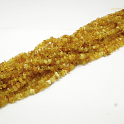 Янтарный Натуральный янтарь чип бисер пряди, 4~6x4~6 мм, отверстие : 1 мм, о 15.5 дюйме