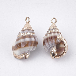 Terre De Sienne Galvanoplastie en spirale coquille pendentifs, avec les accessoires en fer, or, Sienna, 18~25x9~16x7~12mm, Trou: 1.6mm