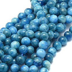 Apatite Natural Apatite Beads Strands, Round, 8mm, Hole: 0.8mm, about 48pcs/strand, 15.35 inch(39cm)