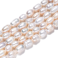 Seashell Color Natural Cultured Freshwater Pearl Beads Strands, Rice, Seashell Color, 5~11.5x4.5~6mm, Hole: 0.7mm, about 43~46pcs/strand, 13.39 inch(34cm)