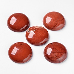 Jaspe Rouge Naturel de jaspe rouge cabochons, dos plat, demi-tour / dôme, 28x7~8mm