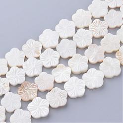 Creamy White Natural Freshwater Shell Bead Strands, Flower, Creamy White, 12~13x12~13x2~3.5mm, Hole: 1mm, about 29~30pcs/strand, 14.37 inch