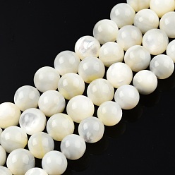 White Shell Natural White Shell Bead Strands, Round, 7.5~8mm, Hole: 0.9mm, about 49pcs/strand, 15.16 inch(38.5cm)