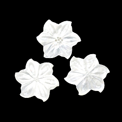 Blanc Cabochons de coquille naturelle, fleur, blanc, 40.8x3mm