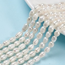 Seashell Color Natural Cultured Freshwater Pearl Beads Strands, Rice, Seashell Color, 7.5~9.5x5.5~6.5mm, Hole: 0.7mm, about 24~25pcs/strand, 7.56 inch~7.76 inch(19.2cm~19.7)