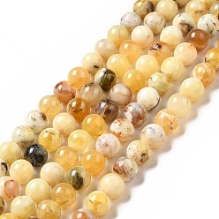 Yellow Opal Natural Yellow Opal Beads Strands, Round, 8mm, Hole: 0.8mm, about 47pcs/strand, 15.35 inch(39cm)