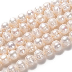 Bisque Natural Cultured Freshwater Pearl Beads Strands, Potato, Bisque, 10~11x10.5~12mm, Hole: 0.6mm, about 34pcs/strand, 14.17 inch(36cm)