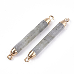 Labradorite Electroplate Natural Labradorite Links connectors, with Iron Findings, Column, Golden, 44~45x5mm, Hole: 1.8mm