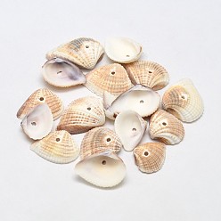Blanched Almond Dyed Natural Ark Shell Beads, Sea Shell Beads, Blanched Almond, 15~26x12~22x4~7mm, Hole: 1mm, about 870pcs/500g