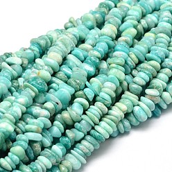 Amazonite Natural Amazonite Chip Beads Strands, 4~14x4~12mm, Hole: 1mm, about 15.3 inch~16.1 inch