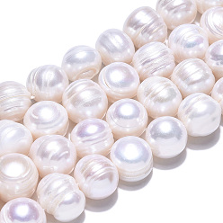 Seashell Color Natural Cultured Freshwater Pearl Beads Strands, Potato, Seashell Color, 10~11x8.5~13.5mm, Hole: 0.7mm, about 18pcs/strand, 7.09~7.28 inch(18~18.5cm)