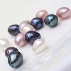 Color mezclado Perlas naturales perlas de agua dulce cultivadas, perlas de media perforados, arroz, mezclado teñido y sin teñir, color mezclado, 6~8x6~7 mm, medio agujero: 0.8 mm