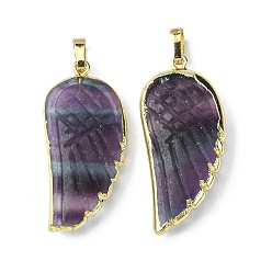 Fluorite Natural Fluorite Pendants, Wing Charms, with Rack Plating Golden Plated Brass Edge, 39x18x7mm, Hole: 6x4mm