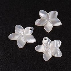White Shell Natural White Shell Mother of Pearl Shell Pendants, Flower, 18.5x19x2mm, Hole: 1.5mm