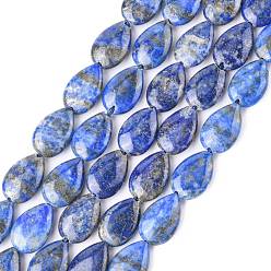 Lapis Lazuli Natural Lapis Lazuli Beads Strands, Teardrop, 15x10x4mm, Hole: 0.5mm, about 26pcs/strand, 15.35''(39cm)