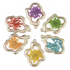Mixed Color Epoxy Resin Pendants, with Dried Flower Inside and Light Gold Plated Alloy Open Back Bezel, Nuggets, Mixed Color, 35x26x1.5mm, Hole: 1.6mm