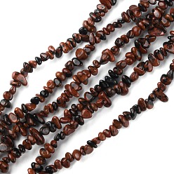 Obsidienne Acajou Naturelles acajou obsidienne brins de perles, puce, 1.5~4.5x3~13x2.5~8mm, Trou: 0.6mm, 30.94~31.97 pouce (78.6~81.2 cm)