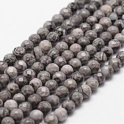 Map Stone Natural Map Stone/Picasso Stone/Picasso Jasper Beads Strands, Faceted, Round, 4mm, Hole: 1mm, about 96pcs/strand, 14.9 inch~15.1 inch